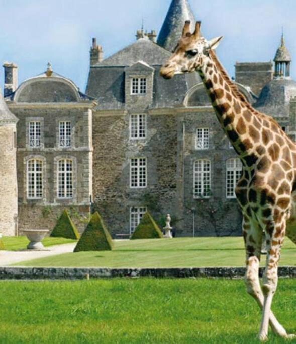 רוז-סור-קוונו La Vallee Appartement Proche Du Mont Saint Michel מראה חיצוני תמונה